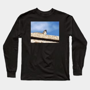 Chimney Top Dweller Long Sleeve T-Shirt